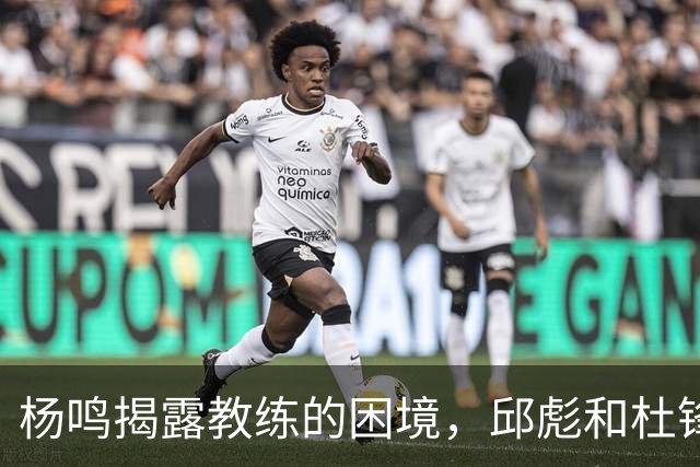 杨鸣揭露教练的困境，邱彪和杜锋的小团队行为是否成为自保策略？