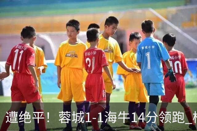 遭绝平！蓉城1-1海牛14分领跑 杨明洋建功杨聪救主 海牛仍倒数第3